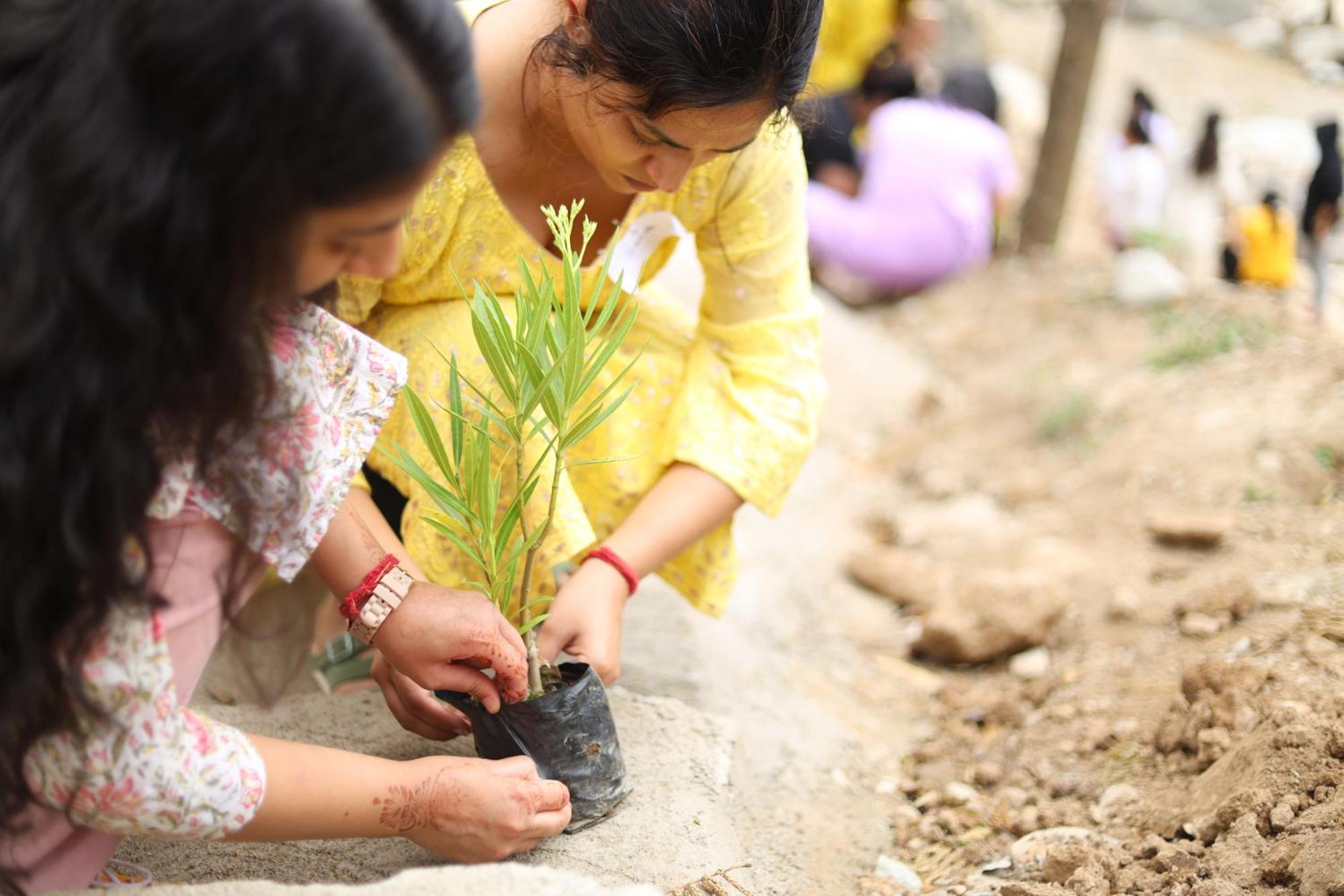 Dev Bhoomi Farms & Cottages Dharamshala Dış mekan fotoğraf