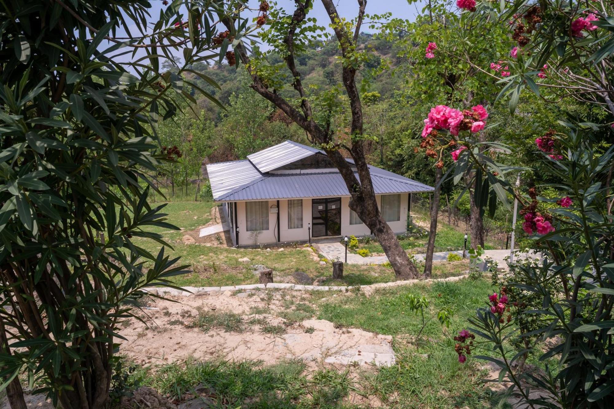 Dev Bhoomi Farms & Cottages Dharamshala Dış mekan fotoğraf